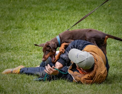 Obranářský víkend Nesměř, 2025-05