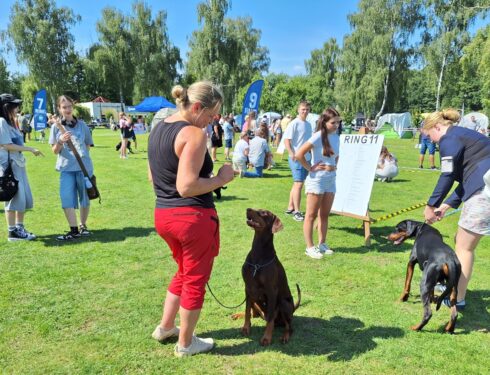 Krajowa Wystawa Psów Rasowych Kalisz, 2025-08