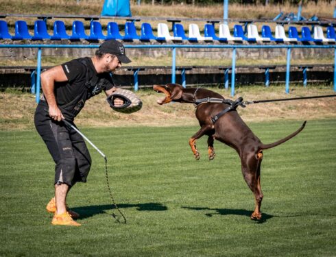 Letní výcvikový tábor v Hartvíkovice, 2025-08
