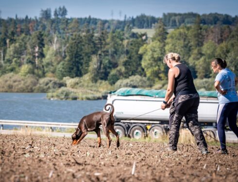 Výcvikový víkend Hartvíkovice, 2025-09